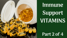 Immune Support Vitamins